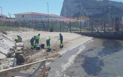 Trabajos para la limpieza manual de la playa de Los Manolos y el traslado de algas al vertedero