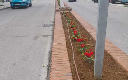Ejecutados trabajos de limpieza y siembra de jardineras en Torres Quevedo