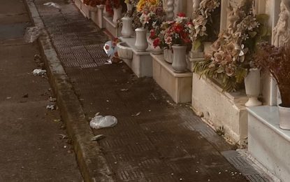 NUESTRO CEMENTERIO.