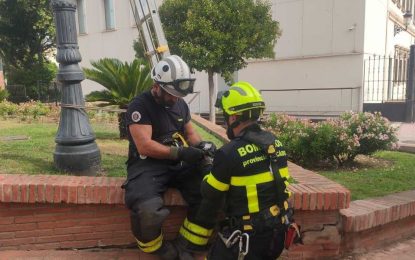 Efectivos del Cuerpo de Bomberos liberan a una gaviota atrapada en una farola en los accesos al Ayuntamiento
