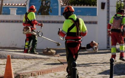 La limpieza especial ha actuado en esta ocasión en Guadarranque
