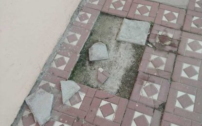 PELIGRO EN LA AVENIDA DE LA BANQUETA , LA MALA GESTION DE JUAN FRANCO .