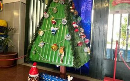 Los colegios Apolinar y Santa María Coronada ganan el concurso de Medio Ambiente “Un Árbol Diferente”