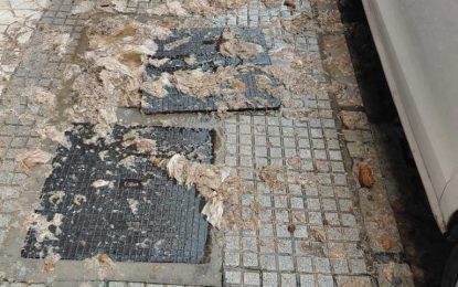 LA LINEA DE JUAN FRANCO , ¿Donde estan los palmeros???