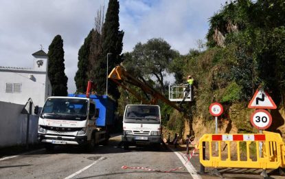 Realizadas talas de árboles tras los temporales en San Roque.