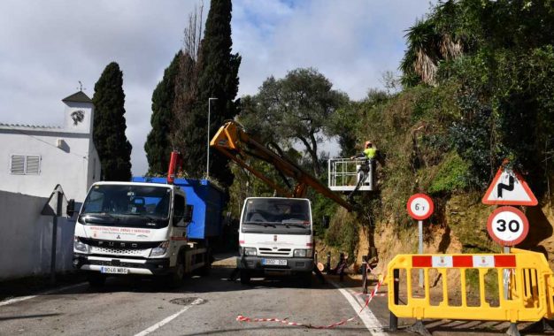 Realizadas talas de árboles tras los temporales en San Roque.