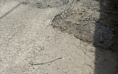 LA LINEA DEL PELAPIJO DE JUAN FRANCO.