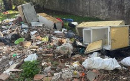 ESTAS SON LAS IMAGENES DE LA LINEA DE JUAN FRANCO EN EL ZABAL.