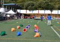 Celebrada la 28º edición de lo Juegos Predeportivos del CEIP Gloria Fuertes