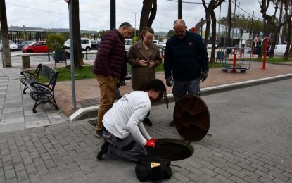 Continúa por la zona interior plan de choque contra roedores y cucarachas
