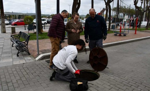 Continúa por la zona interior plan de choque contra roedores y cucarachas