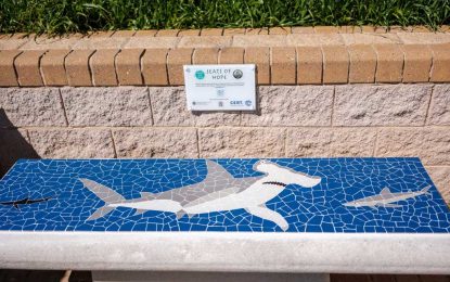 Nuevo Asiento de la Esperanza Representa un Tiburón Martillo