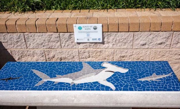 Nuevo Asiento de la Esperanza Representa un Tiburón Martillo