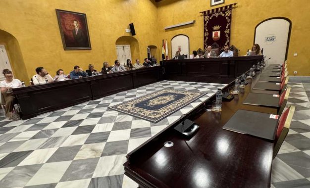 La Sesión Ordinaria del Ayuntamiento Pleno pide a la Junta la reparación del patio del CEIP Santa Rita