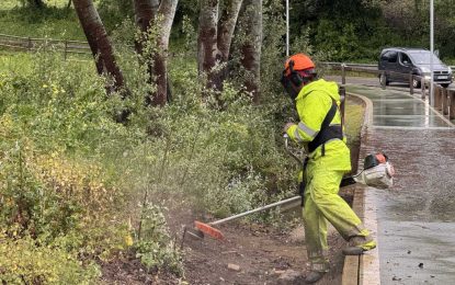 Realizada una limpieza especial por la Fuente María España