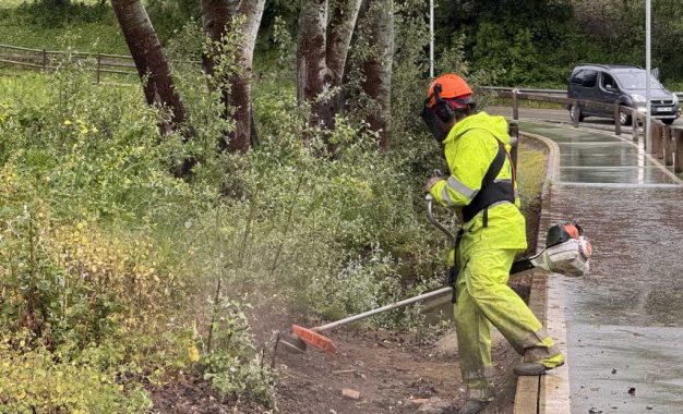 Realizada una limpieza especial por la Fuente María España