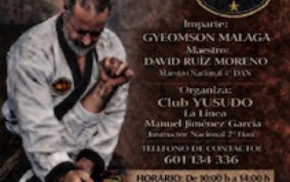 SEMINARIO DE HAPKIDO (DEFENSA PERSONAL.) Y CLASES