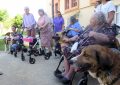 SOS PERRERA LOS BARRIOS .