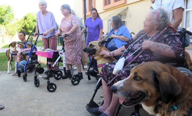 SOS PERRERA LOS BARRIOS .