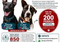 LA FUNDACIÓN CANYA LANZA UN GRAN SORTEO BENÉFICO PARA AYUDAR A LOS PERROS ABANDONADOS DEL CAMPO DE GIBRALTAR