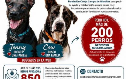 LA FUNDACIÓN CANYA LANZA UN GRAN SORTEO BENÉFICO PARA AYUDAR A LOS PERROS ABANDONADOS DEL CAMPO DE GIBRALTAR