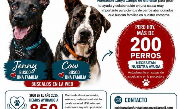 LA FUNDACIÓN CANYA LANZA UN GRAN SORTEO BENÉFICO PARA AYUDAR A LOS PERROS ABANDONADOS DEL CAMPO DE GIBRALTAR