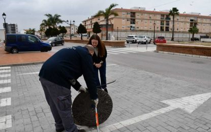 Salud anuncia un plan de choque para controlar la proliferación de cucarachas