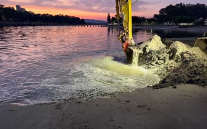 SAN ROQUE  La Autoridad Portuaria finaliza los trabajos de restitución  del perfil de la Playa de Guadarranque