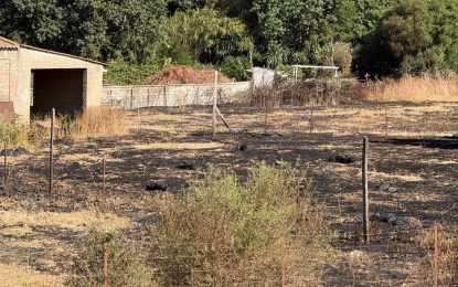 Controlado en la mañana del jueves el incendio declarado este miércoles en San Roque