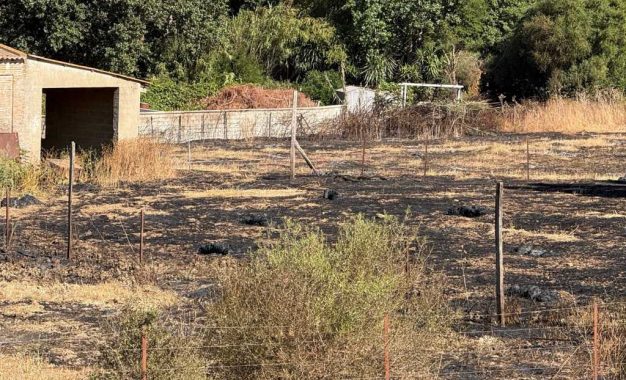 Controlado en la mañana del jueves el incendio declarado este miércoles en San Roque