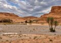 MaghreBats completa con éxito su primera expedición científica por Marruecos