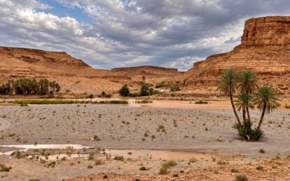 MaghreBats completa con éxito su primera expedición científica por Marruecos