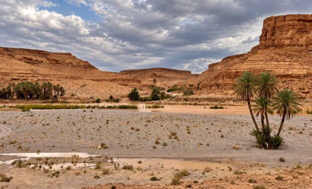 MaghreBats completa con éxito su primera expedición científica por Marruecos